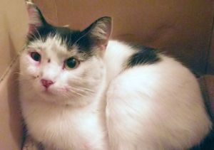 �������� ������ �����